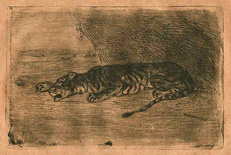 Eugne Delacroix, Tiger lying at the Entrance to its Lair, etching