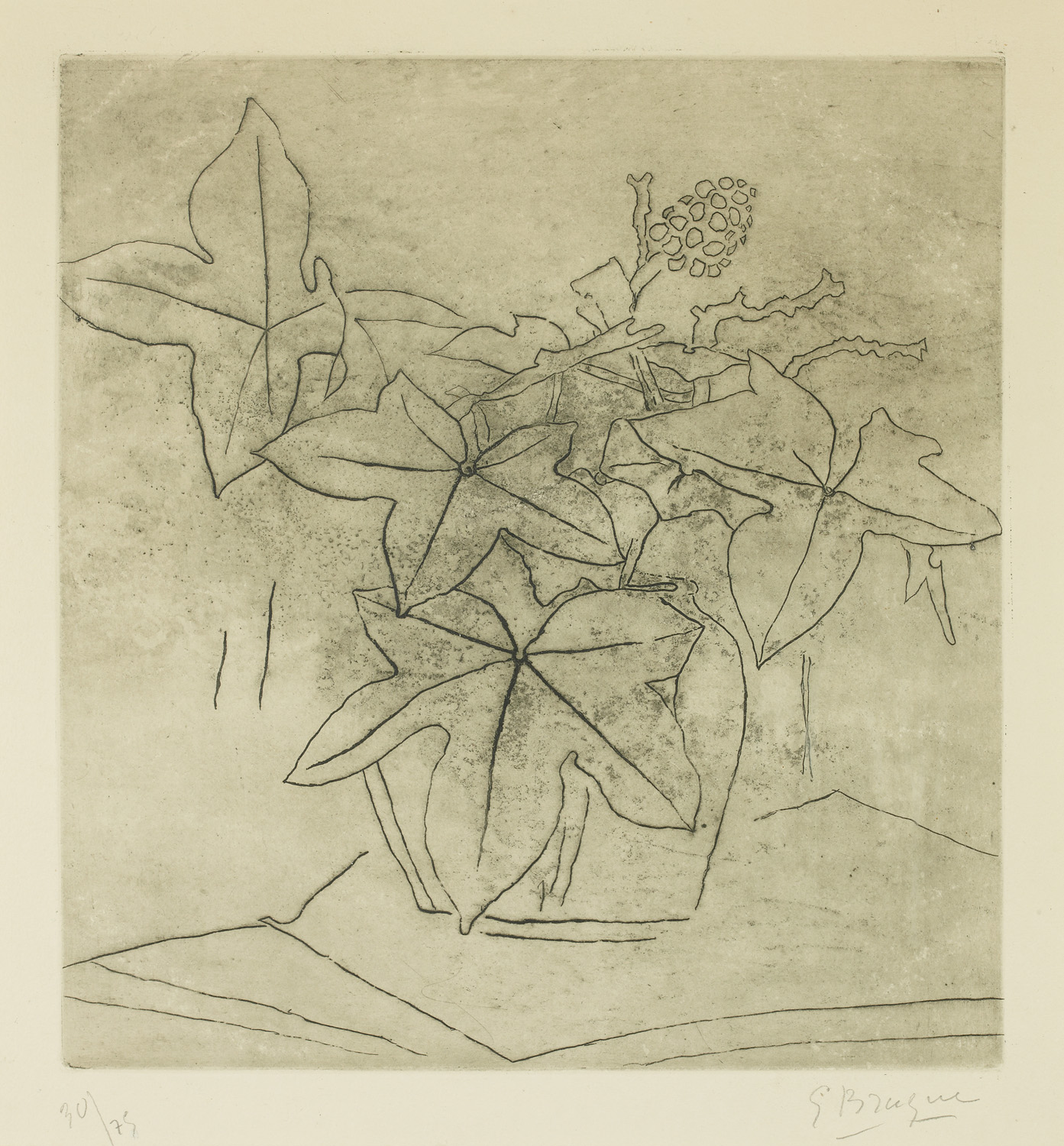 Georges Braque, Le Lierre, etching, 1955